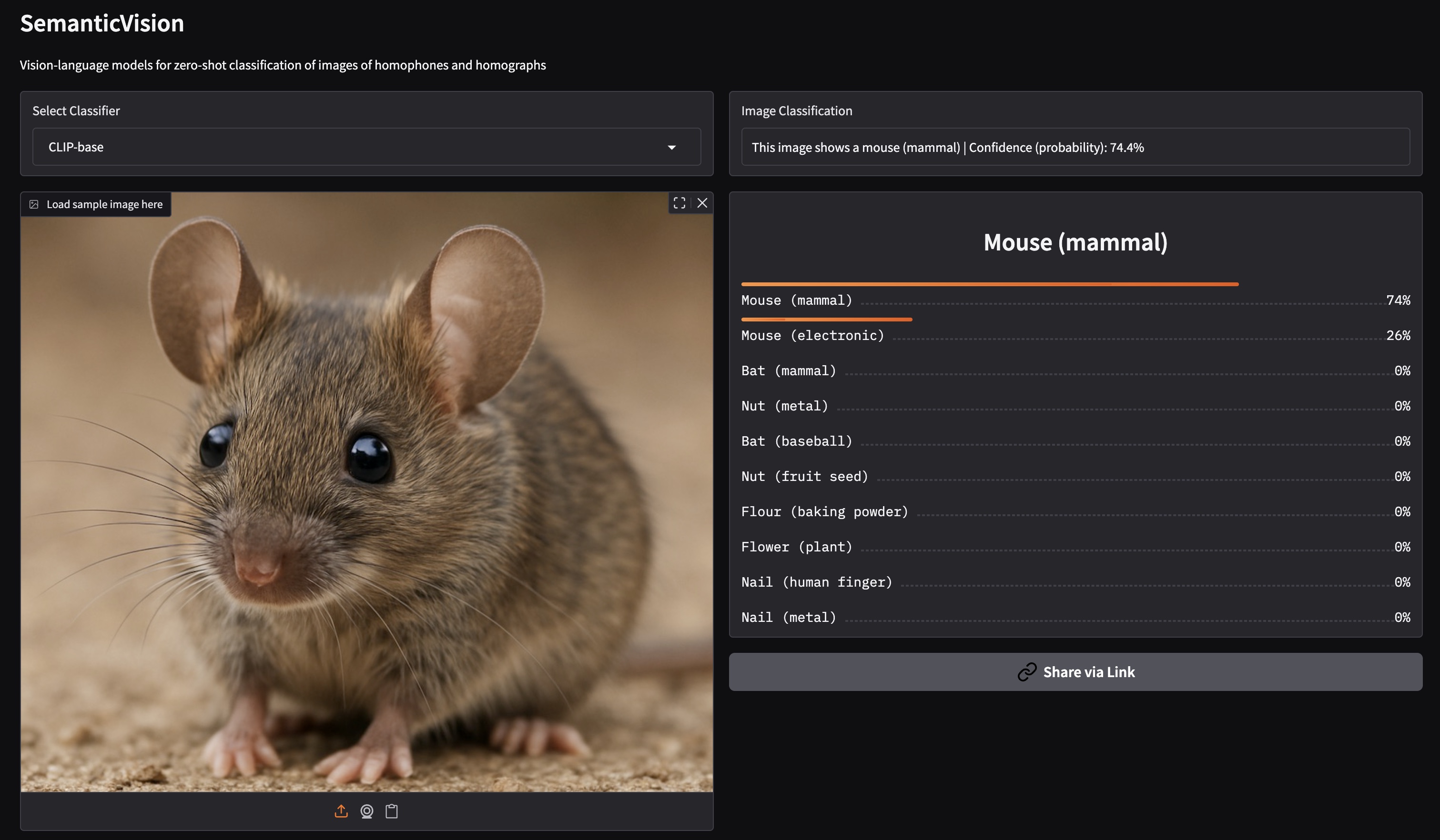 Vision-language model demo alternate